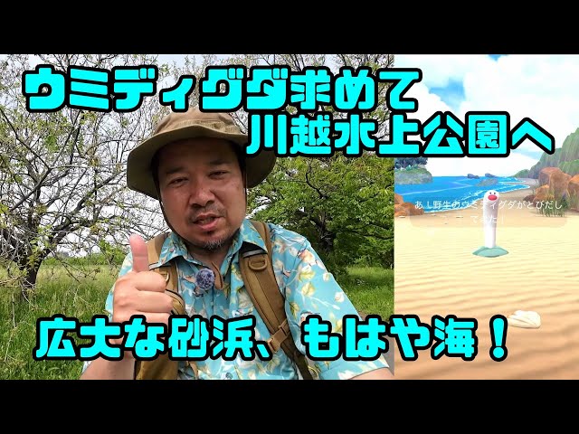 【ポケモンGO】海無し県埼玉、ウミディグダ求めて川越水上公園へ！ここは、もはや海