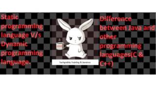static Programming language VS  dynamic programming language