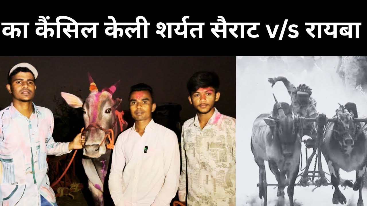 A१ जोडी भुंगा-सैराट विरुद्ध खंड्या-रायबा शर्यत का केली कैंसिल सुनील पाटील यांची प्रतिक्रिया 😱