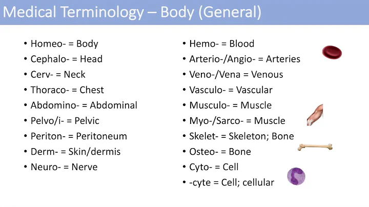 Medical Terminology - The Basics - Lesson 1