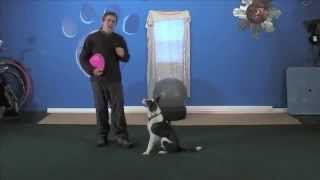 Disc Dog Sequencing Flip to Vault