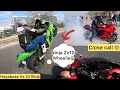 Hayabusa Vs Ninja Zx10r🔥Training back workout In Ladakh ❤️