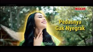 Download lagu Iklan Mixagrip Herbal Greges Cocok