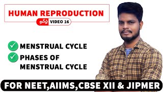 Menstrual cycle in Tamil | Human Reproduction in Tamil (16)