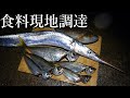 釣りサバイバルキャンプ生活in新潟【完全版】（現在、一部立ち入り禁止になっているようです）