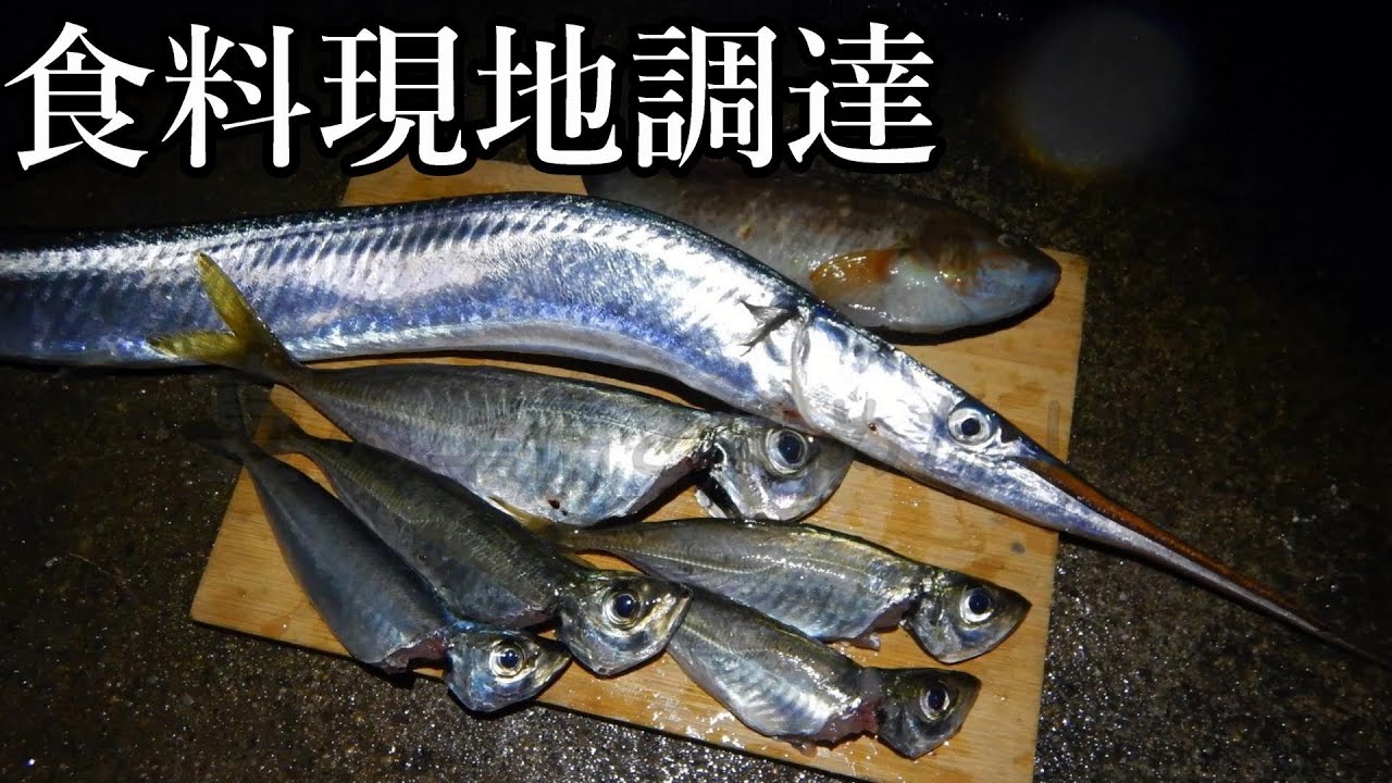 釣りサバイバルキャンプ生活in新潟【完全版】（現在、一部立ち入り禁止になっているようです）