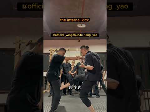 Wing Chun Footwork- Exploring The Three Types Of Kicks   Master Tu Tengyao