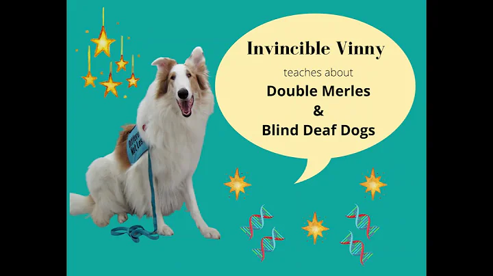 Debbie Bauer and Invincible Vinny