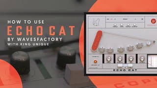 How To Use Wavesfactory Echo Cat - Get That Lo-fi Delay