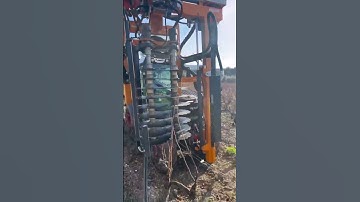 Vines Pruning | Winemaking and How Wines is Made! #shorts #fyp