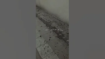 سئل احدهم عن الخذلان فقال Shorts معلومات حقائق ستوريات 