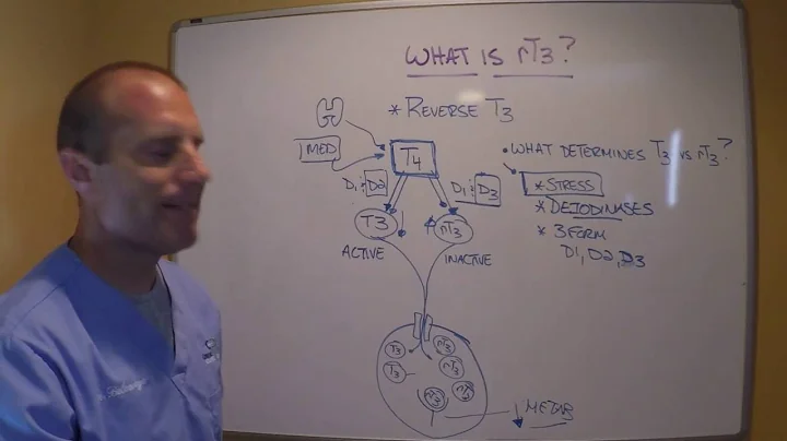 TTE26   Reverse T3 Part 2 What determines if T4 converts to T3 vs rT3
