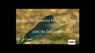Animal Are Beautiful People Full Movie | WarnerBros WB