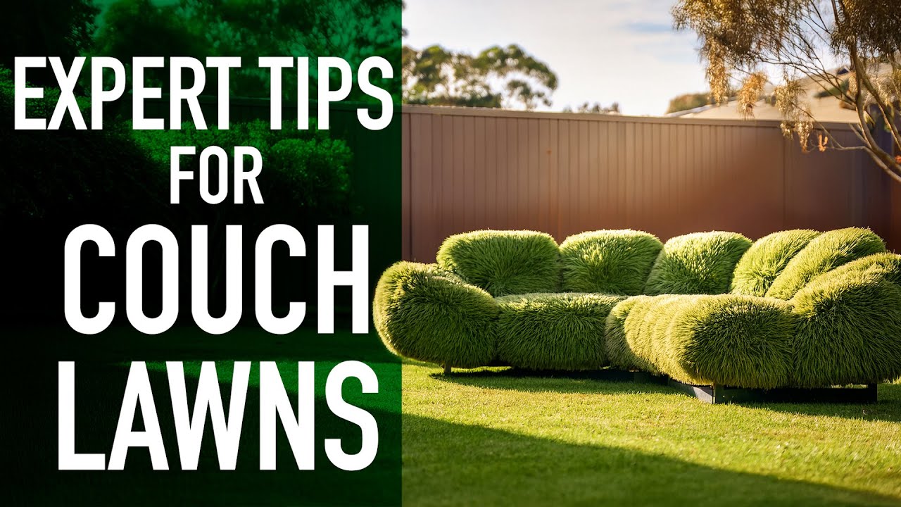 Наши экспертные советы по уходу за газоном возле дивана