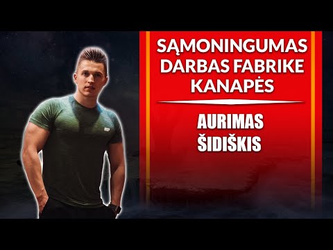 Video: Šeši Pakrančių Plėtros Projektai