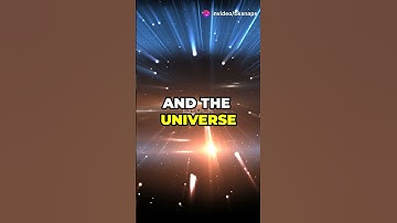 The Mirror Universe: What If There