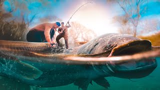 Fishing for the UK's BIGGEST Catfish!