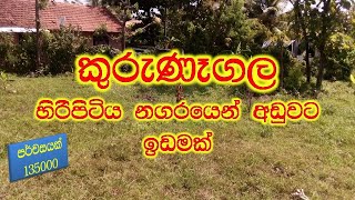 and sale in kurunegala | land sale in sri lanka | house for sale in sri lanka | maddumaya