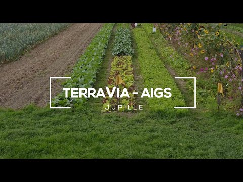 L'Agriculture sociale en Wallonie - TerraVia & le champ des possibles