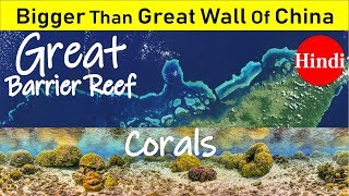 Corals: Great Barrier Reef Sea Forest | UNESCO heritage | 7 Natural Wonder Of The World Corals: Great Barrier Reef Sea Forest | UNESCO heritage | 7 Natural Wonder Of The World