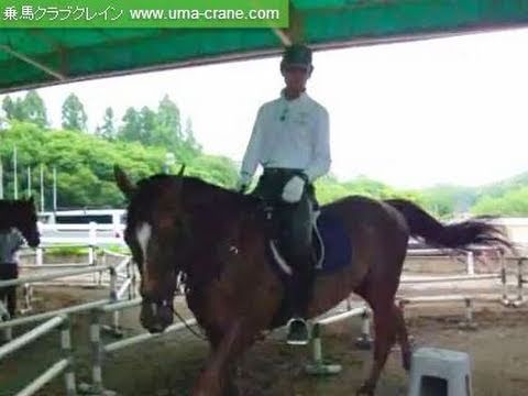 馬の乗り方 乗馬クラブクレイン 体験1回コース Youtube