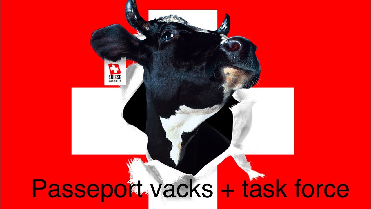 Passeport Vacks Task Force Federale Youtube