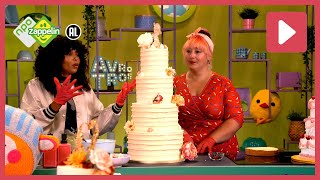 Download Lagu TROUWEN 🍰 | Zin in Zappelin | NPO Zappelin MP3 Download Lagu TROUWEN 🍰 | Zin in Zappelin | NPO Zappelin MP3