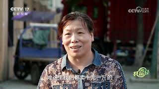 《共富经》 20250526 寻常产业里的非凡财富 | 农业致富经 Agriculture And Farming