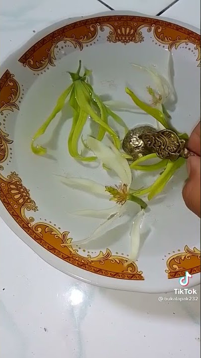 Ajian Semar mesem ..