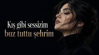 Kış Gibi Sessizim Buz Tuttu Şehrim