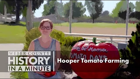 Weber County History in a Minute: Hooper Tomato Fa...