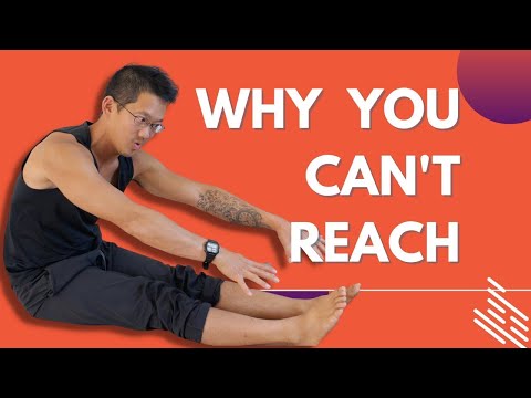 Why You Can't