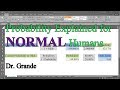 TI-84 Plus Graphing Calculator Guide: Probability - YouTube