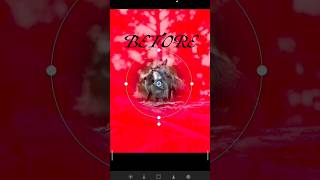 LIGHTROOM MOBILE CINEMATIC BACKGROUND || MOODY DARK GREEN || #shorts #viral #trending