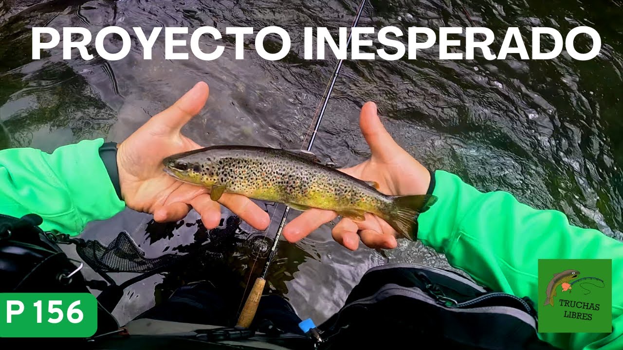 PROYECTO 156 | PROYECTO INESPERADO 🪴🪴
