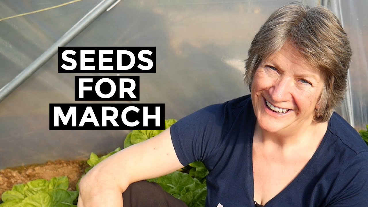 What To Sow In MARCH | Easy to grow outdoors
