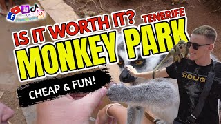 Monkey Park Tenerife | Is it worth a visit? Dave & Jack checked it out and had a fun time!