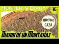 CAZA MENOR al SALTO | CAZA de CODORNIZ en MEDIA VEDA #1 | QUAIL HUNTING with POINTING DOG