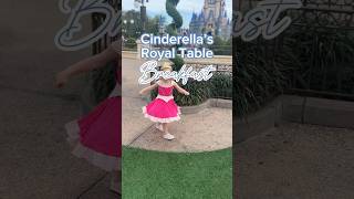 Breakfast in Cinderella’s Castle ✨