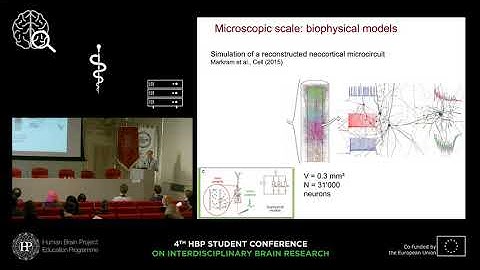 Schwalger Tilo - Mean-field models derived from biologically realistic neuronal dynamics