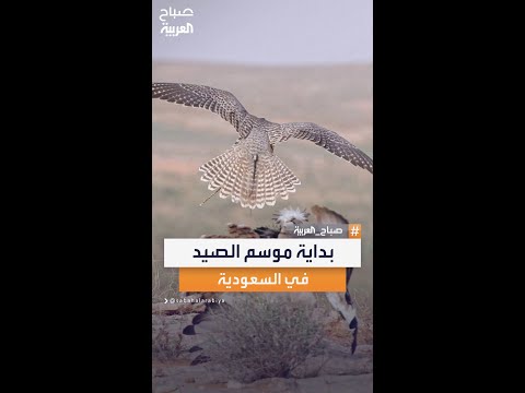 هيئة تنمية الحياة الفطرية تعلن رسمي ا انطلاق موسم الصيد بالمملكة العربية السعودية