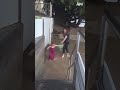 funny USA #funny