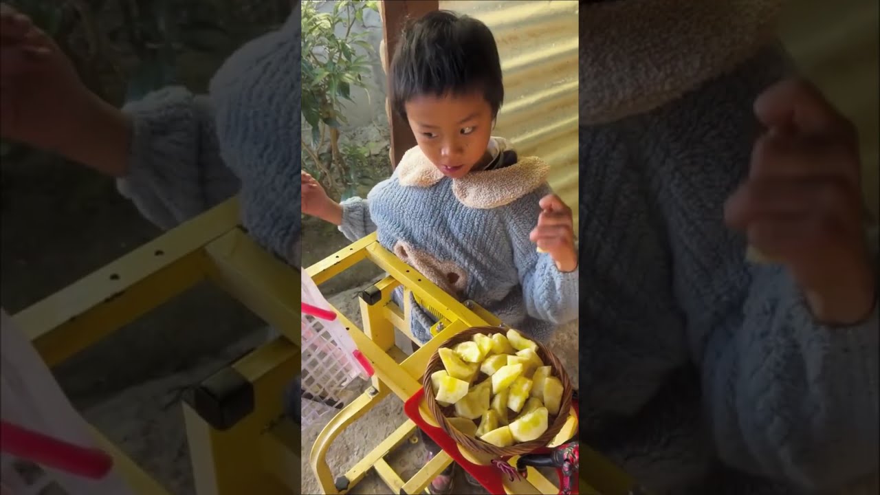 Digging patato at the foot of the mountain