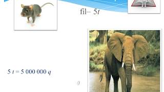 Ders Icmali Miqyas Kurikulum Interaktiv Dersler Numunesi Aciq Ders Sunumu