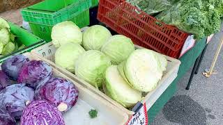 Mosterts Farm Fresh Vegetables At Albany Farmers Market