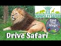 Knowsley Safari Park | Post Lockdown | Drive Safari 28th June 2020 | 1st Drive around Part 1