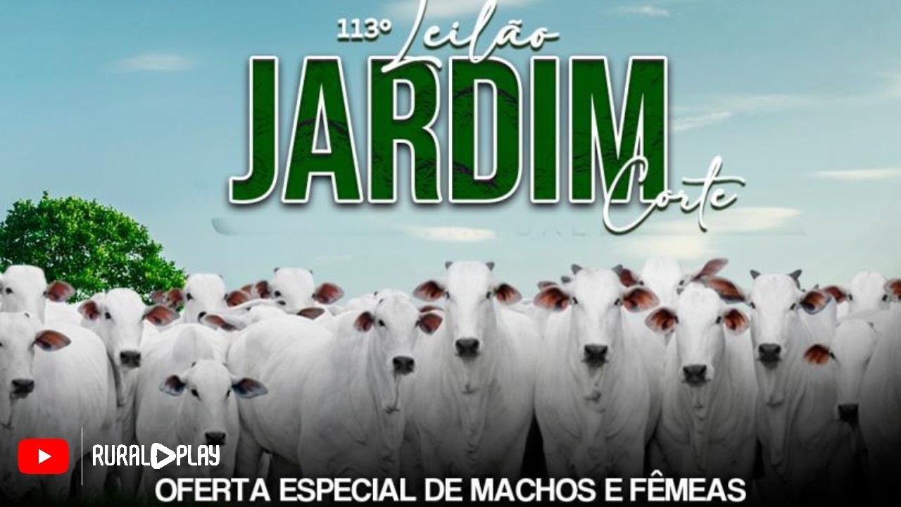 113º LEILÃO JARDIM CORTE - JARDIM/MS - RURAL PLAY