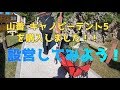 キャノピーテント設営 （キャンプサイト激選）/  tent camping setup