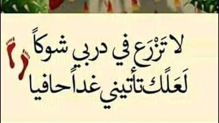 لا تزرع في دربي شوكآ لعلك تيني غداحافيا