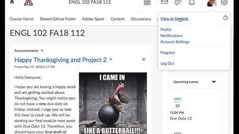 Student-Submitting Portfolio in D2L